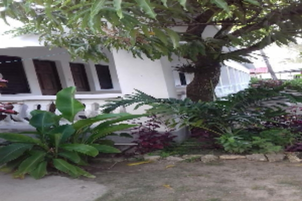 Hotel Roots Bamboo Beach Resort (Whitehall)